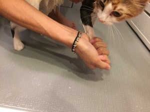 写真 2016-04-12 0 16 58