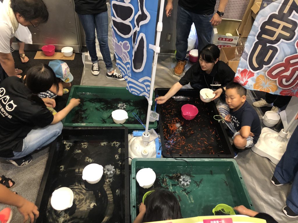 サワガニすくい