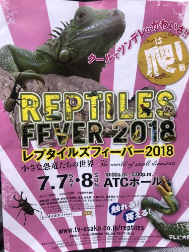 爬虫類イベントのレプタイルズフィーバーに行ってきました!IN ATCホール