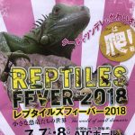 レプタイルズフィーバー5