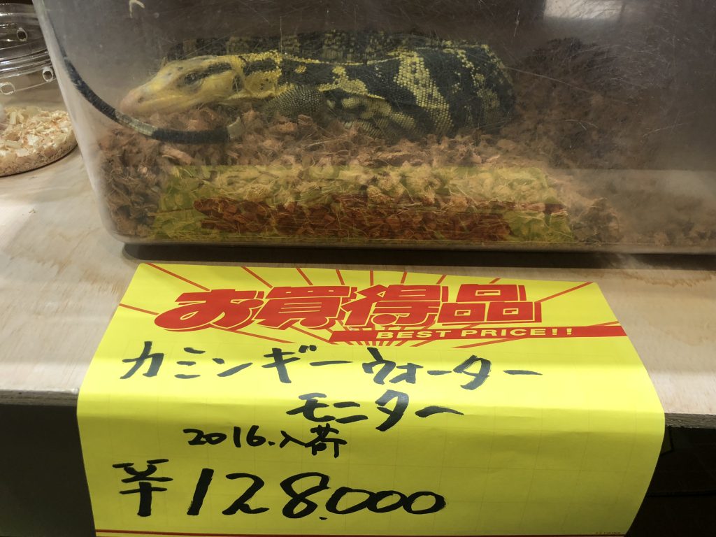 カミンギーウォーターモニター