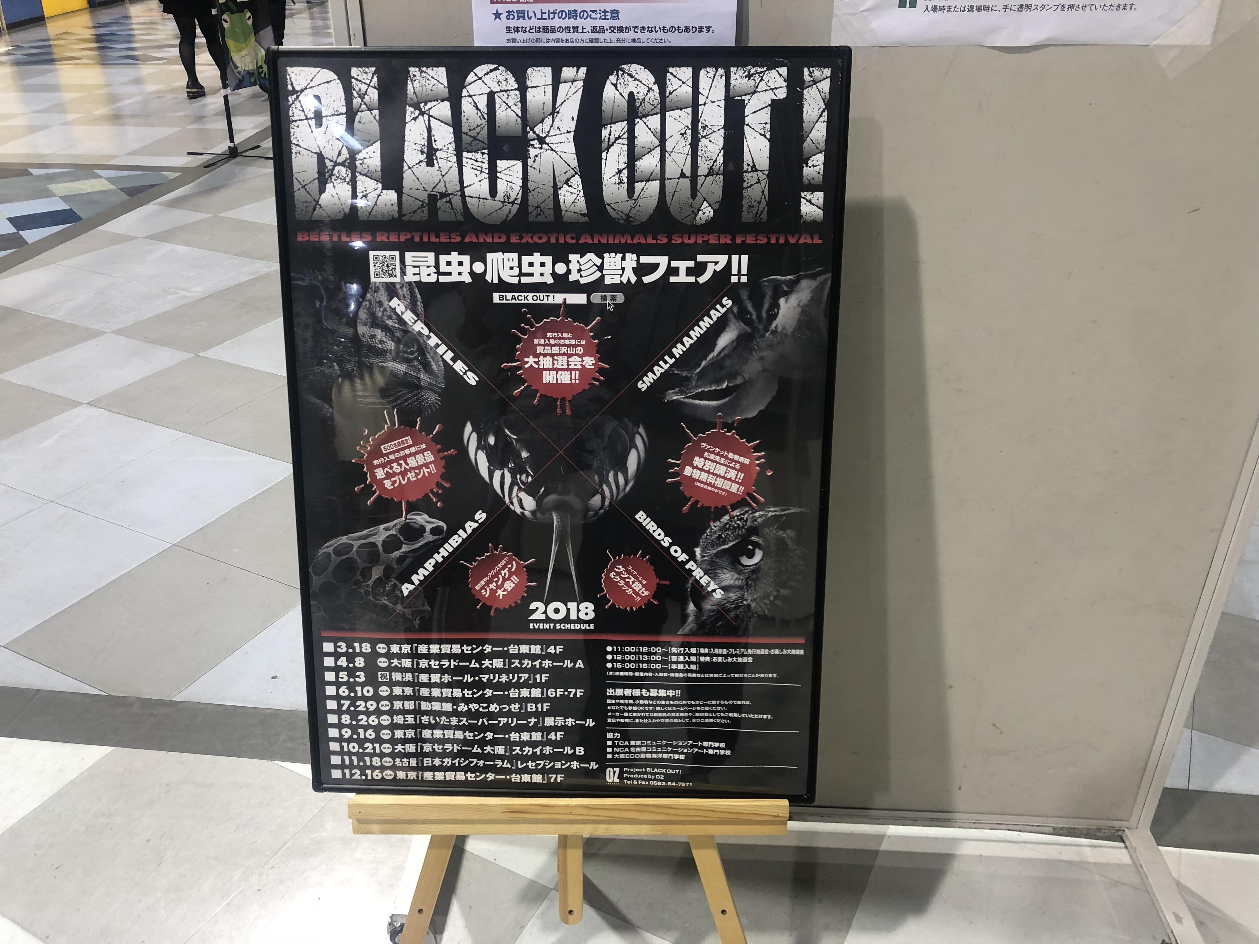 爬虫類イベントの珍獣フェア Black Out に行ってきました In大阪