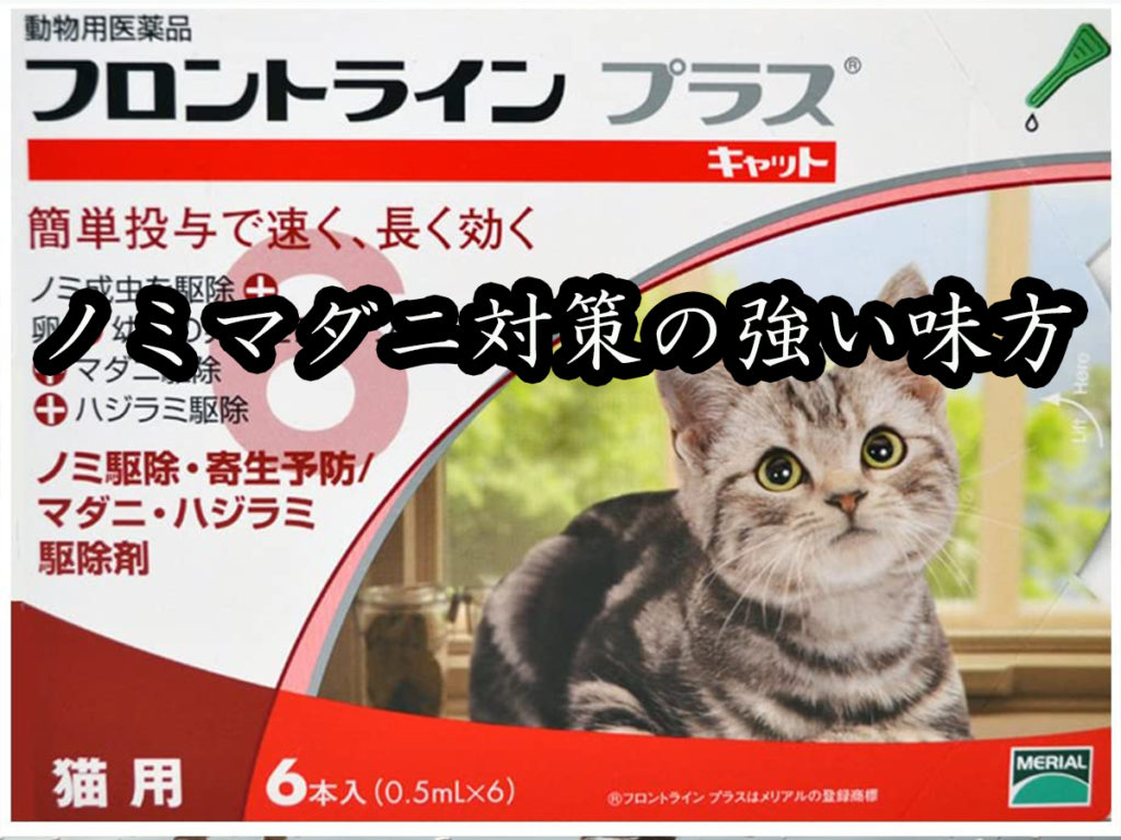 市場 動物用医薬品 猫用 フロントラインプラス