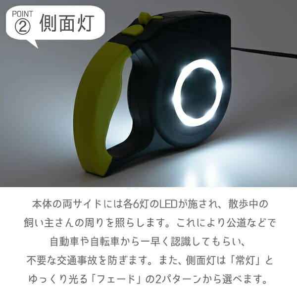 夜道で光るリード【犬の散歩に必須】2