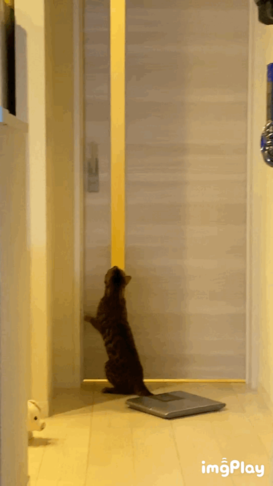 ドアノブの向きを変えて、脱出できなくなった虎徹