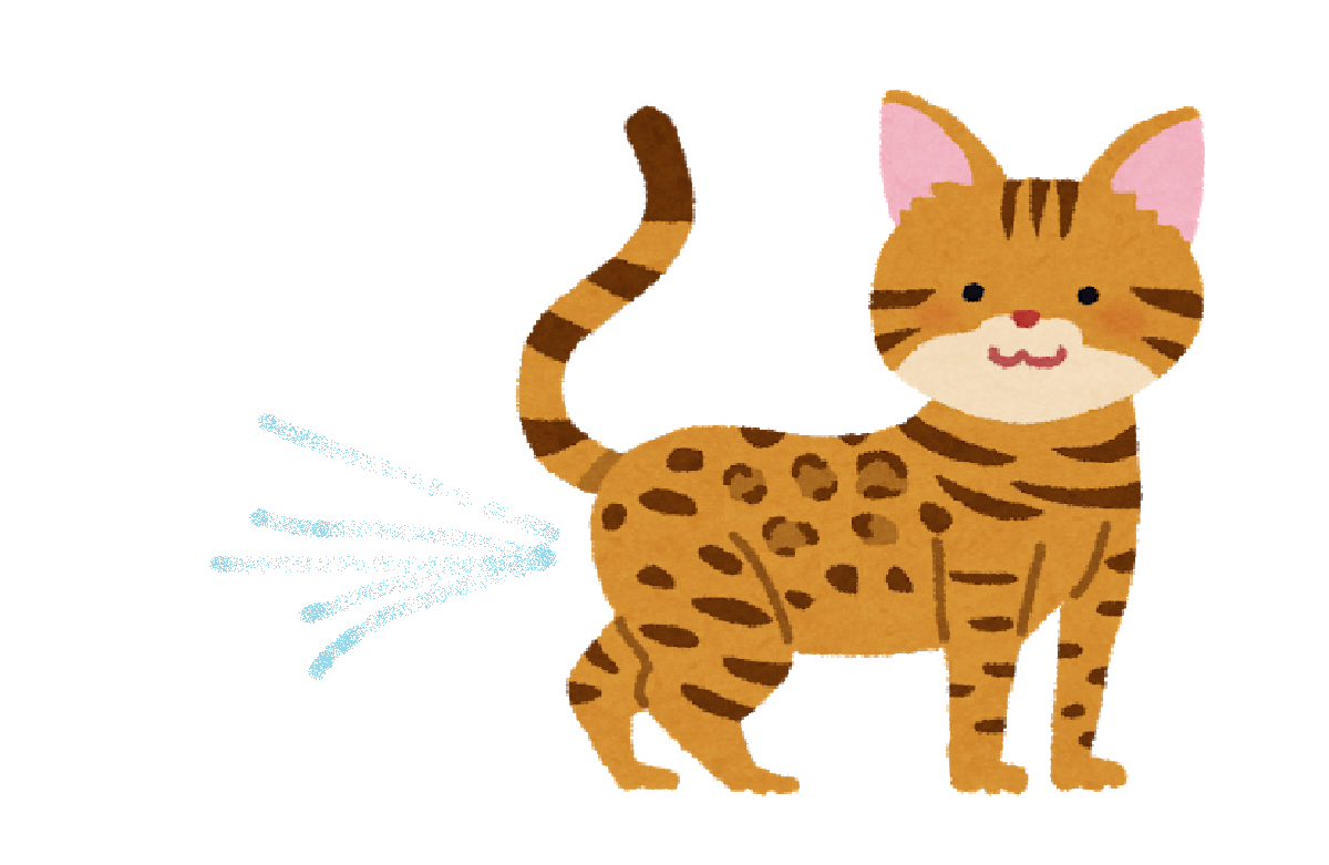 猫のマーキング(スプレー)について