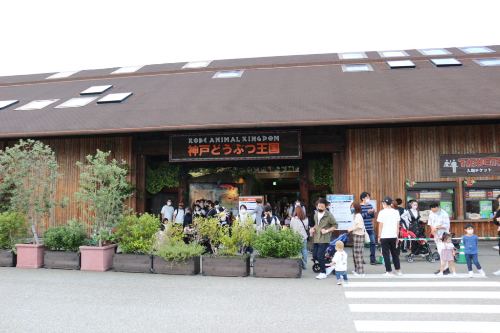 マヌルネコに会える動物園神戸動物王国