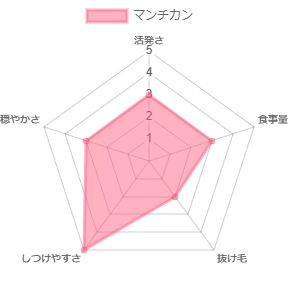 マンチカンってどんな猫？性格や寿命、価格や特徴的な足を解説！【猫図鑑】