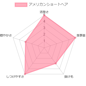 メインクーンのレーダープロフィール