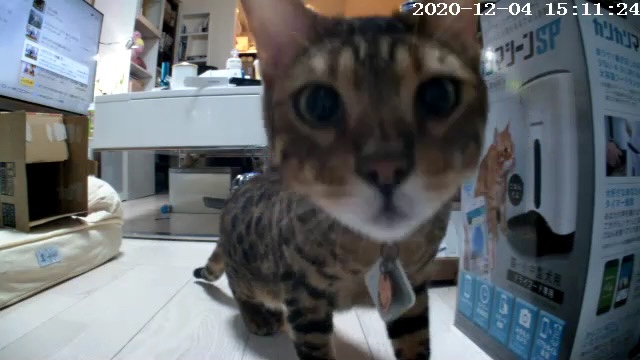 カリカリマシーンSPのカメラに映る虎徹君