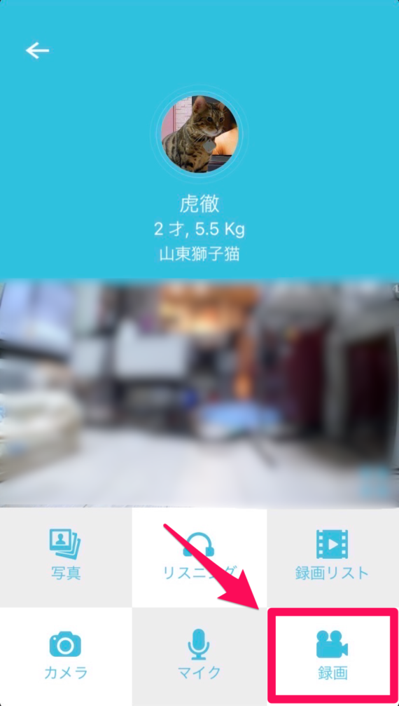 カリカリマシーンSPアプリのビデオタブ②