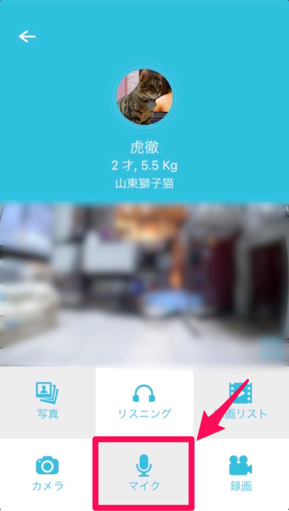 カリカリマシーンSPアプリのビデオタブ③