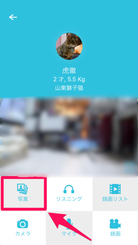 カリカリマシーンSPアプリのビデオタブ⑤